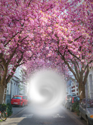 Gleiche Szene mit der Kirschblüte. Straße mit blühenden Kirschbäumen, deren rosa Blüten die gesamte Straße überspannen und einen natürlichen Blütentunnel bilden und deren rosa Blüten wie ein farbenprächtiges Dach über der Straße zusammenwachsen. In der Mitte des Bildes ist ein wirbelartiger Nebel, der die Wahrnehmung einschränkt und den Blick auf die Straße dahinter verdeckt. Die gesamte Atmosphäre wirkt durch das Blütenmeer sehr freundlich, aber der Sehverlust in der Mitte sorgt jedoch für einen zentralen Gesichtsfeldausfall.